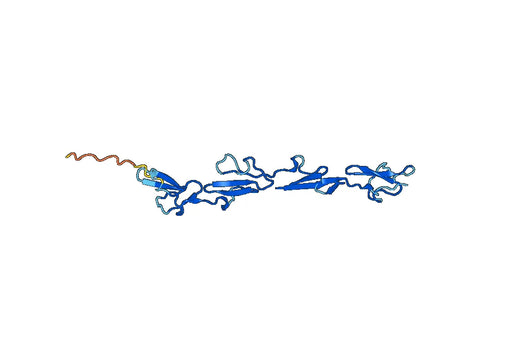 Recombinant Human ADGRE1/EMR1, N-His