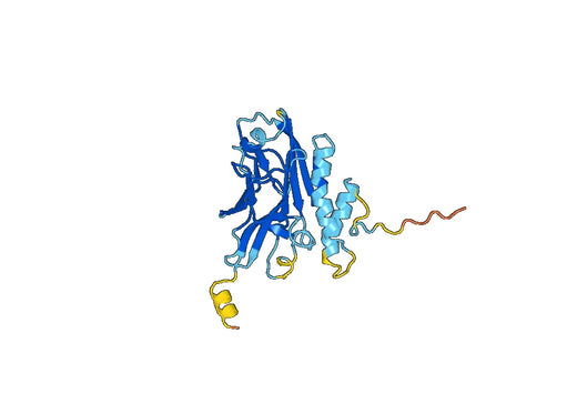 Recombinant Human ADGRG3 Protein, N-His