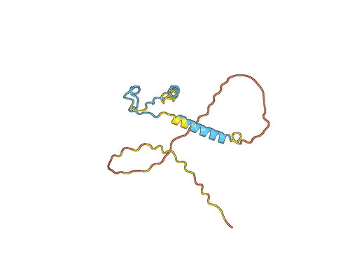Recombinant Human ADIPOR2, N-His