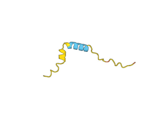 Recombinant Human ADORA3 Protein, N-His-SUMO