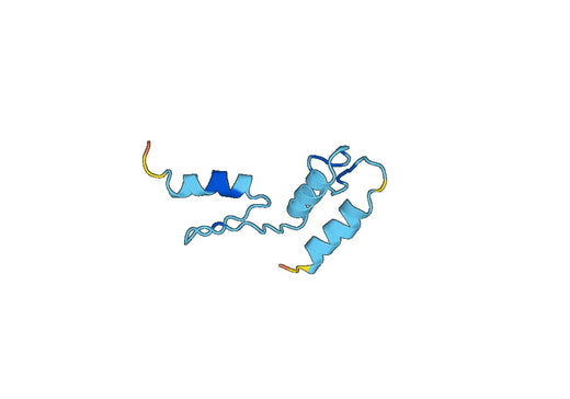 Recombinant Human AEBP2 Protein, N-His-SUMO