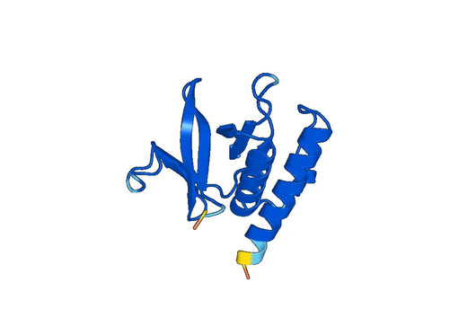 Recombinant Human AFAP1 Protein, N-His