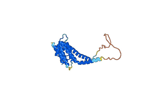 Recombinant Human AFF4 Protein, N-His