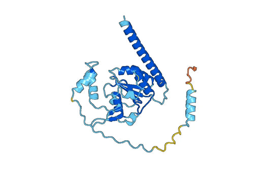Recombinant Human AGK, N-GST