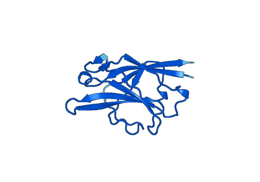 Recombinant Human AIDA Protein, N-His