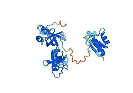 Recombinant Human AKAP1 Protein, N-His