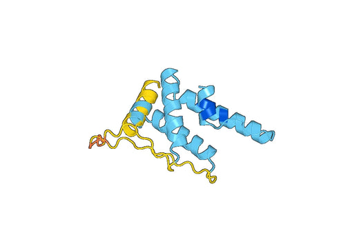 Recombinant Human AKAP3 Protein, N-His