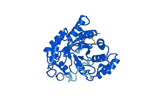 Recombinant Human AKR1C3 Protein, N-His
