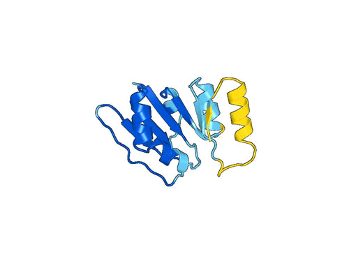 Recombinant Human ALG13 Protein, N-His