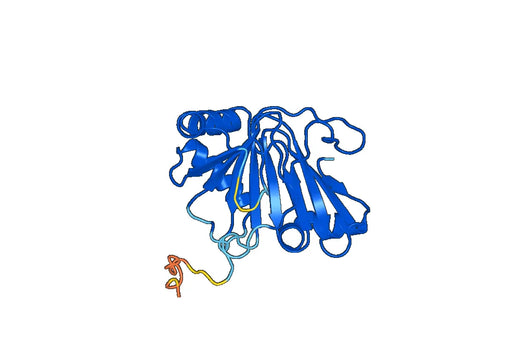 Recombinant Human ALKBH7 Protein, N-His