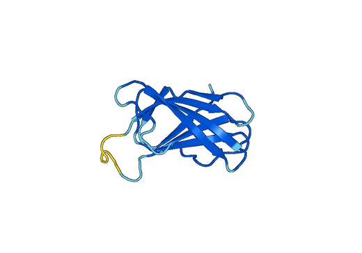 Recombinant Human ALOX15B Protein, N-His-SUMO