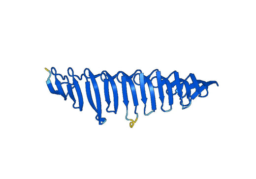 Recombinant Human ALS2/Alsin Protein, N-His
