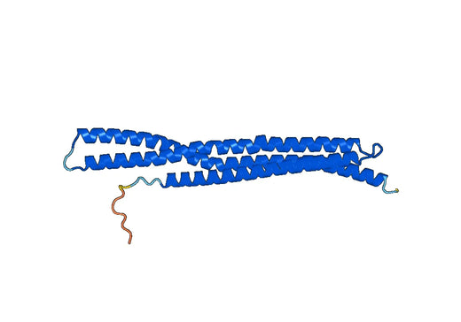 Recombinant Human AMPH, N-His