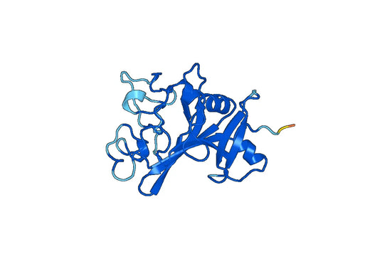 Recombinant Human ANGPT2/Ang2 Protein, C-His