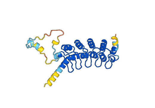 Recombinant Human ANKRD27 Protein, N-His