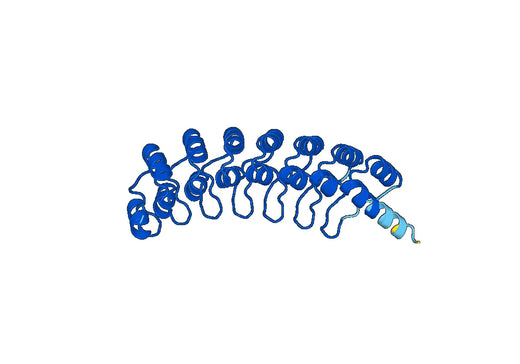 Recombinant Human ANKRD6 Protein, N-His