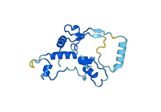 Recombinant Human ANO2 Protein, N-His