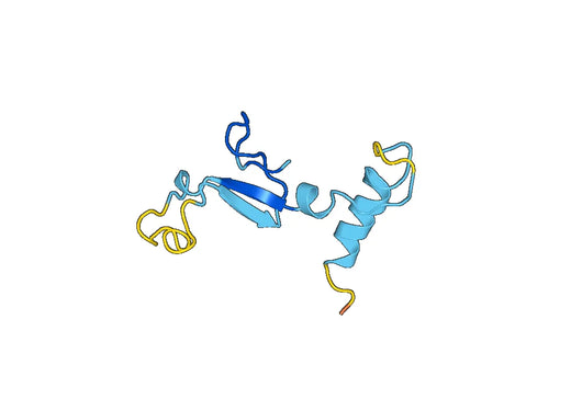 Recombinant Human ANO6, N-His