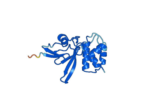 Recombinant Human AOX1 Protein, N-His