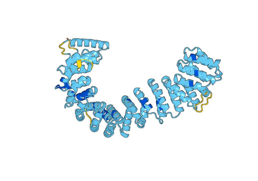 Recombinant Human AP1G1 Protein, N-His