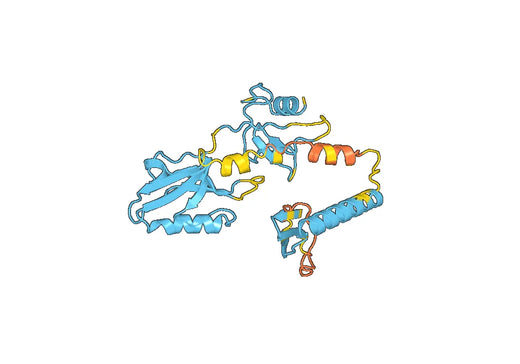 Recombinant Human APBA2, N-His