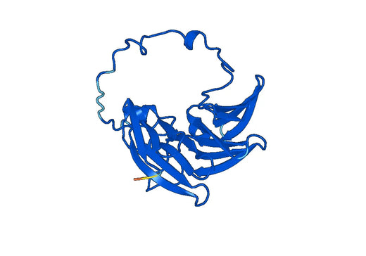 Recombinant Human APMAP, N-His