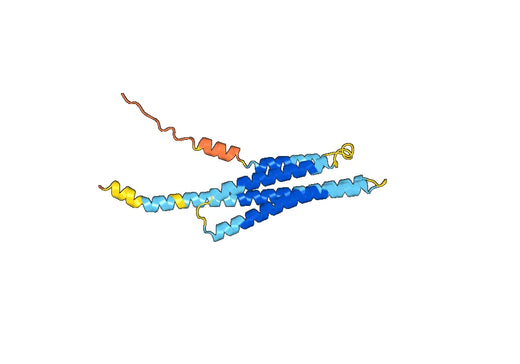 Recombinant Human APOE Protein, N-GST & C-His