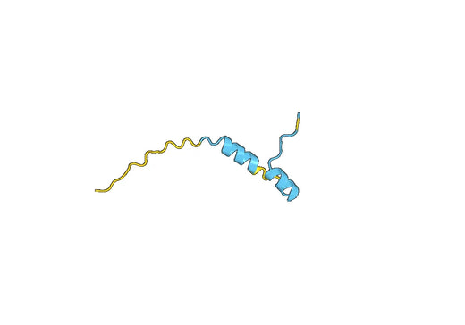 Recombinant Human AQP2 Protein, N-His-SUMO