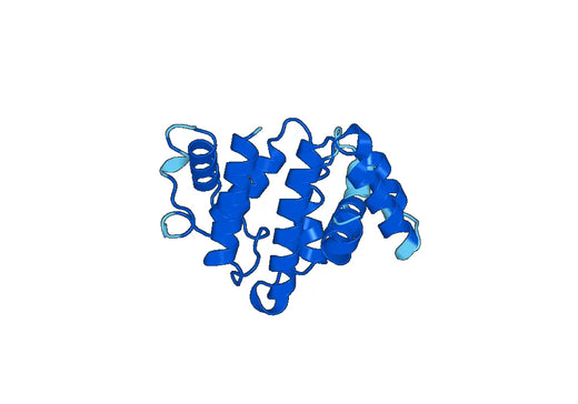 Recombinant Human ARHGAP10 Protein, N-His