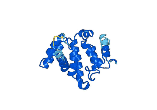 Recombinant Human ARHGAP15 Protein, N-His