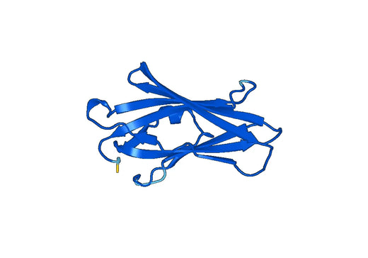 Recombinant Human ARHGDIB Protein, N-His