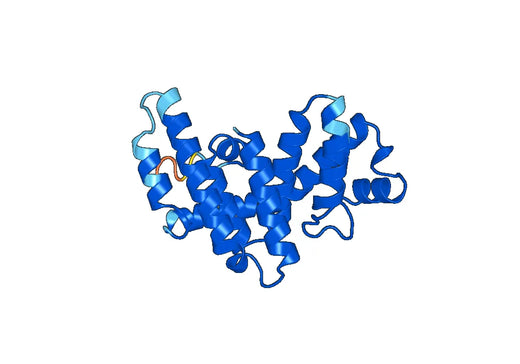Recombinant Human ARHGEF1 Protein, N-His