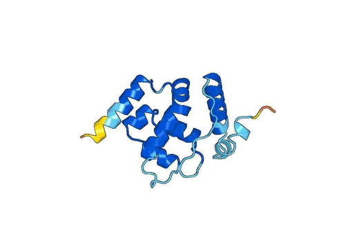 Recombinant Human ARID3A Protein, N-His