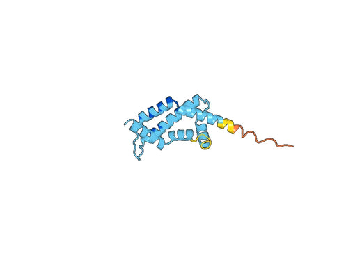 Recombinant Human ARL2BP Protein, N-His