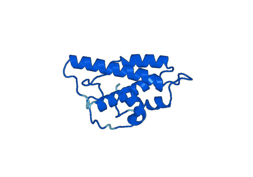 Recombinant Human ARPC3 Protein, N-His
