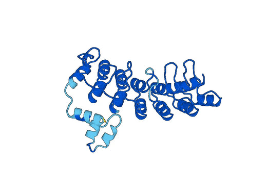Recombinant Human ASB9 Protein, N-His
