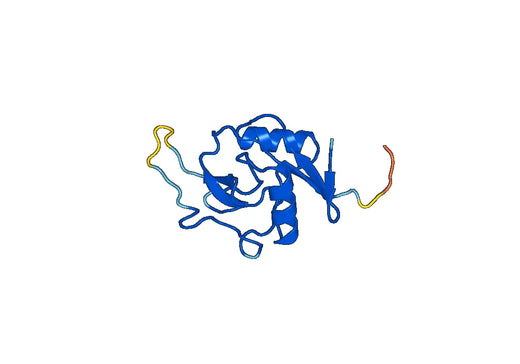 Recombinant Human ASGR2 Protein, N-His