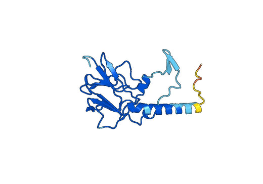 Recombinant Human ASH2L Protein, N-His