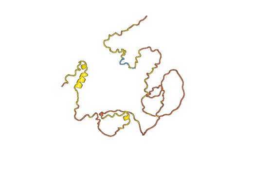 Recombinant Human ASPM Protein, N-His