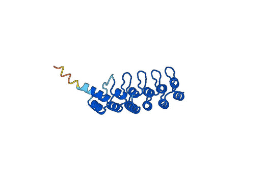 Recombinant Human ASZ1 Protein, N-His