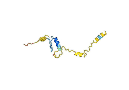 Recombinant Human ATF2 Protein, N-His-SUMO & C-Strep