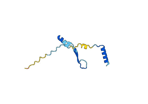 Recombinant Human ATG2A Protein, N-His-SUMO & C-Strep