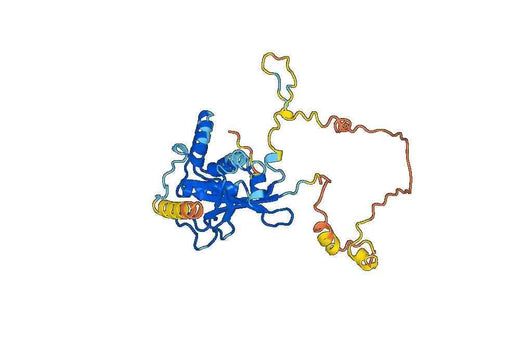 Recombinant Human ATG3, N-His