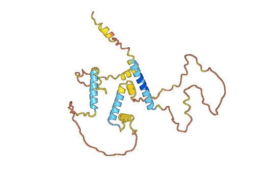 Recombinant Human ATN1, N-His