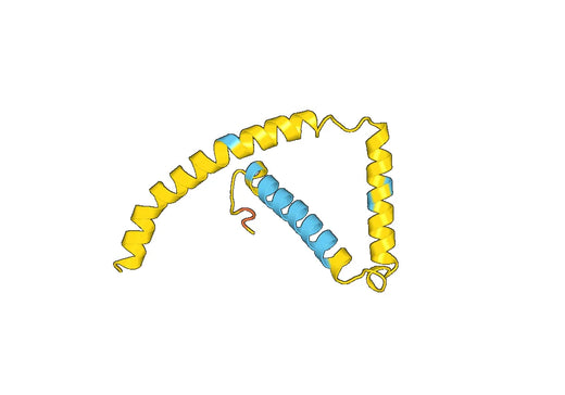 Recombinant Human ATP5MG Protein, N-His-SUMO