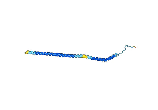 Recombinant Human ATP6V1G1 Protein, N-His