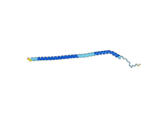 Recombinant Human ATP6V1G2 Protein, N-His