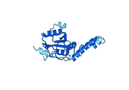 Recombinant Human ATXN3 Protein, N-His