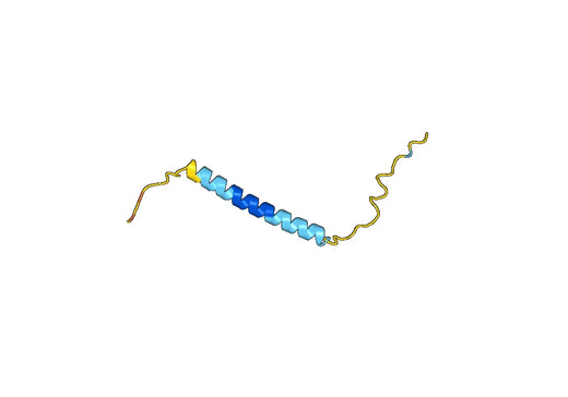 Recombinant Human AUTS2 Protein, N-His-SUMO