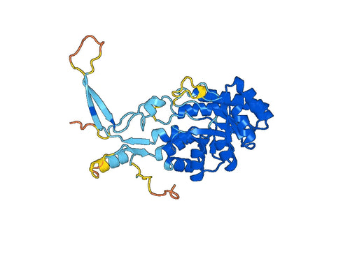 Recombinant Human AZIN2, N-His